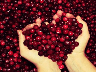 Γευστικά και αντιοξειδωτικά cranberries